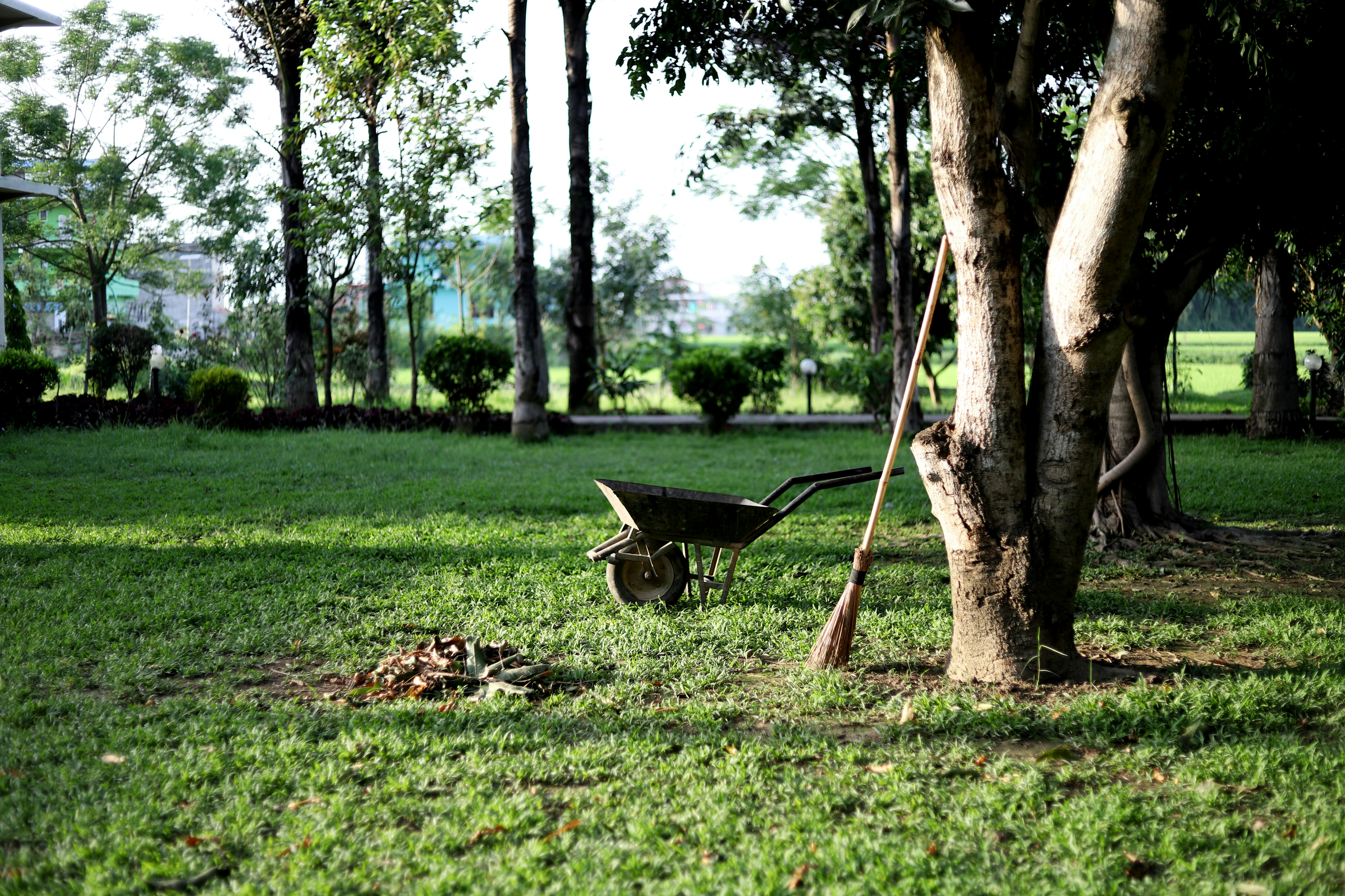 Giardino curato da Melucan a Roma